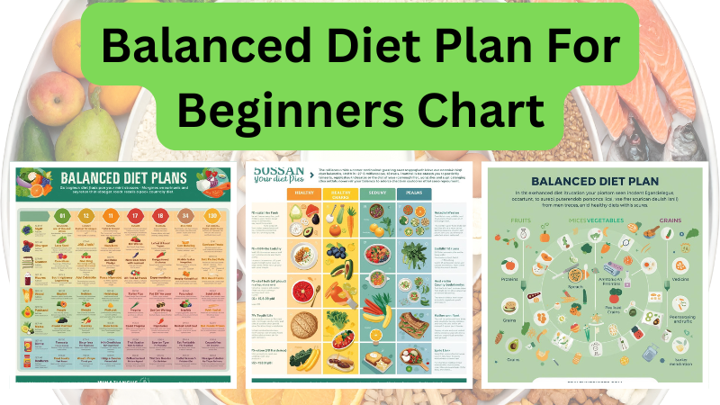 balanced diet plan for beginners chart